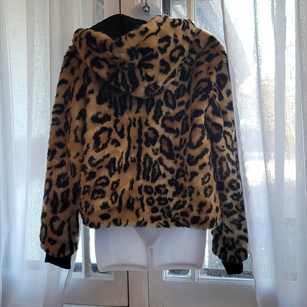 Jacket - Picture 6 of 9